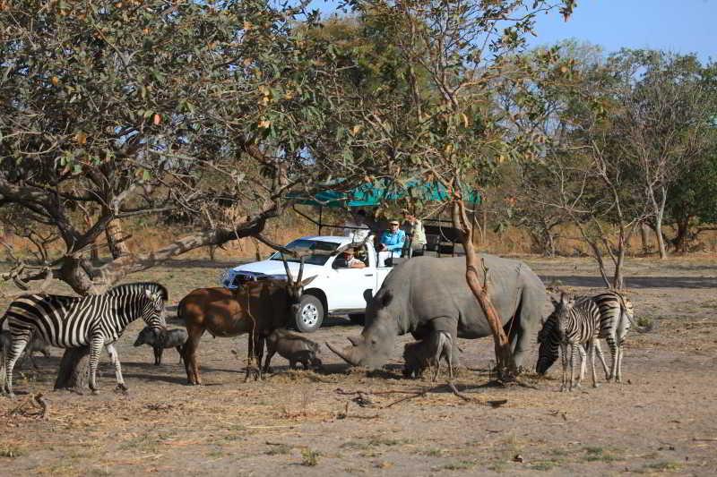 Fathala Wildlife Reserve Toubakouta Dış mekan fotoğraf