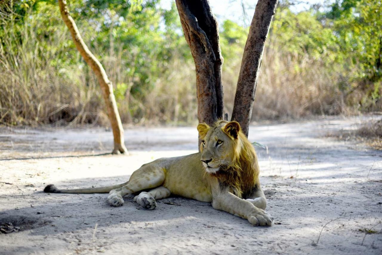 Fathala Wildlife Reserve Toubakouta Dış mekan fotoğraf