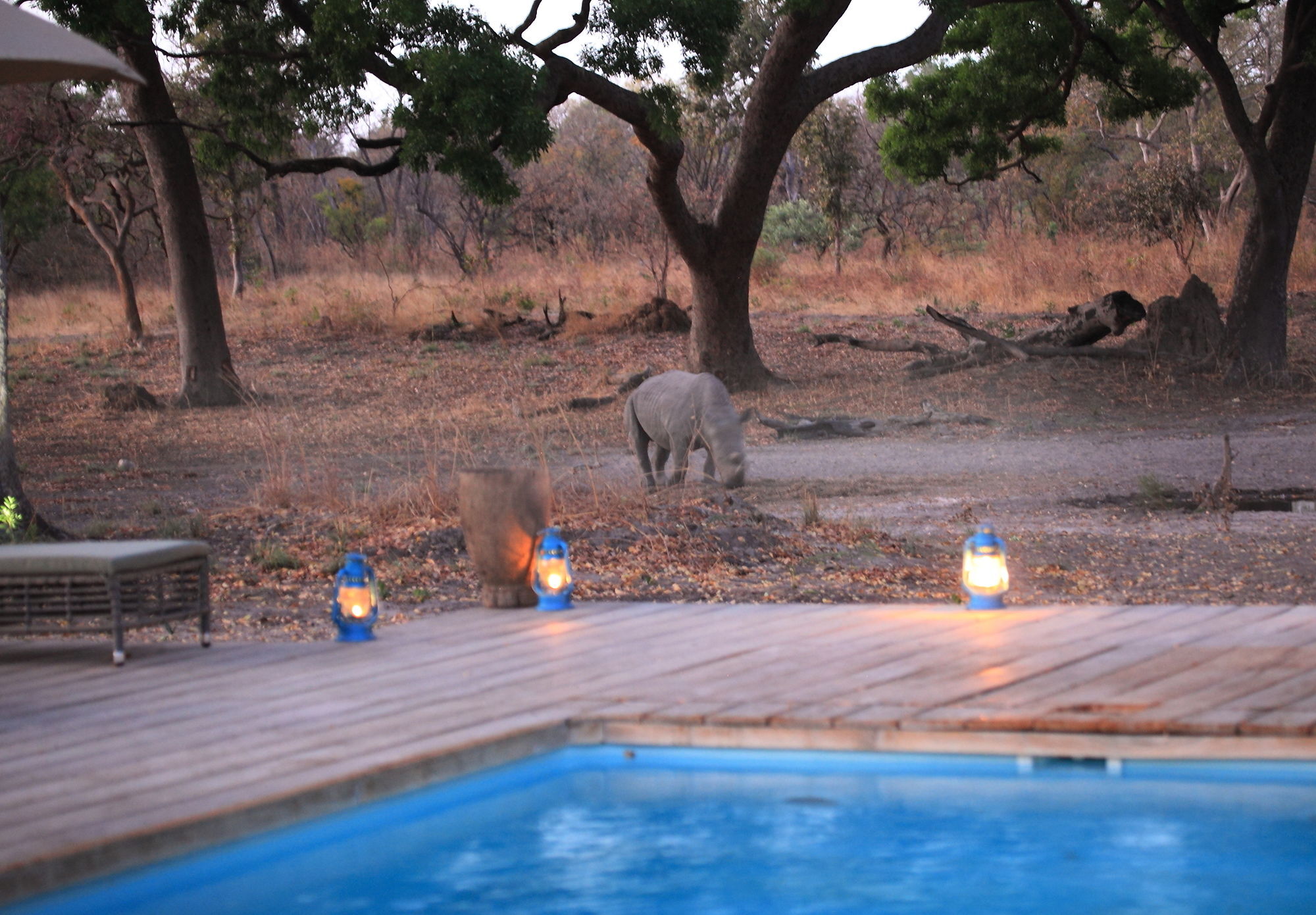 Fathala Wildlife Reserve Toubakouta Dış mekan fotoğraf