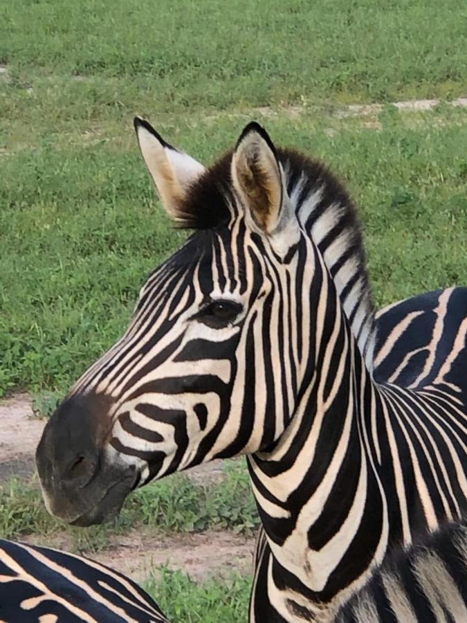 Fathala Wildlife Reserve Toubakouta Dış mekan fotoğraf