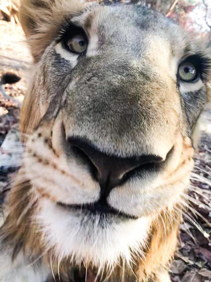 Fathala Wildlife Reserve Toubakouta Dış mekan fotoğraf