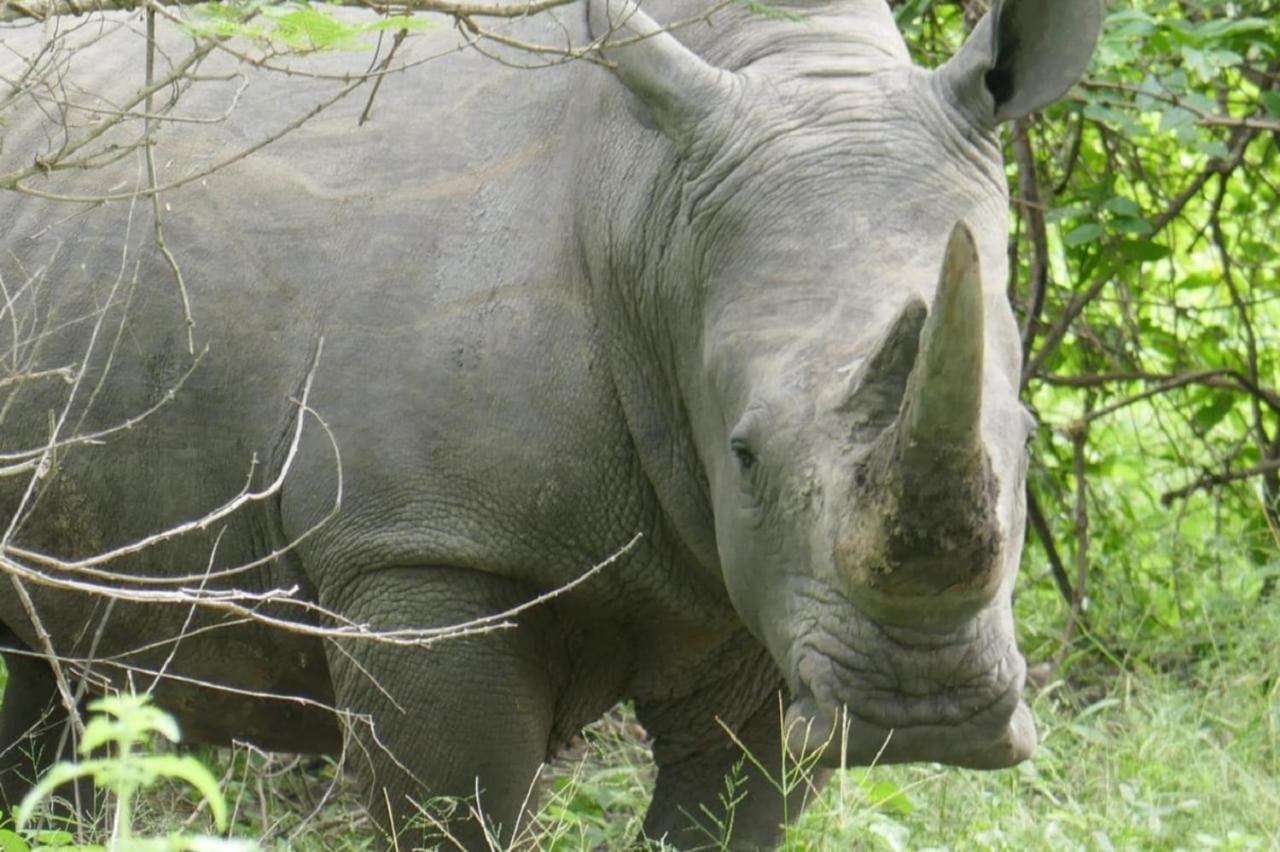 Fathala Wildlife Reserve Toubakouta Dış mekan fotoğraf
